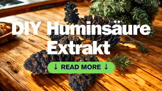 Huminsäure Extrakt selbst herstellen
