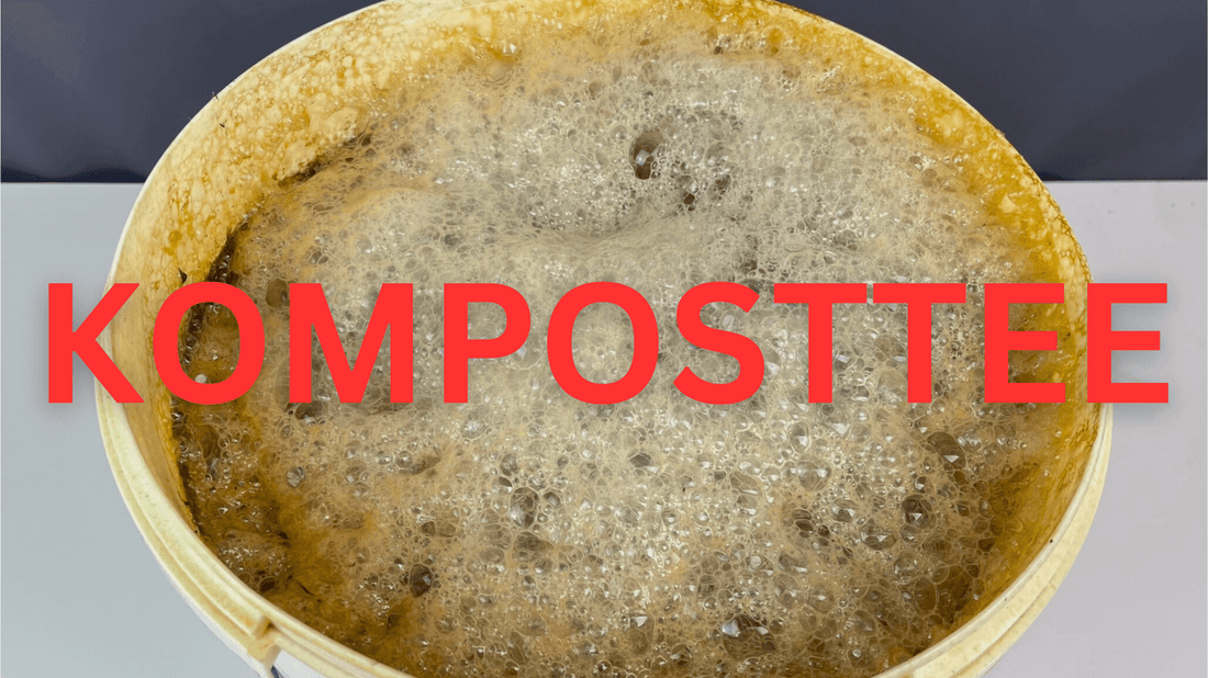 Komposttee-Vorteile-Anleitung