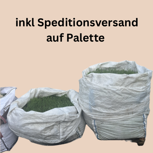 Living Soil Erde