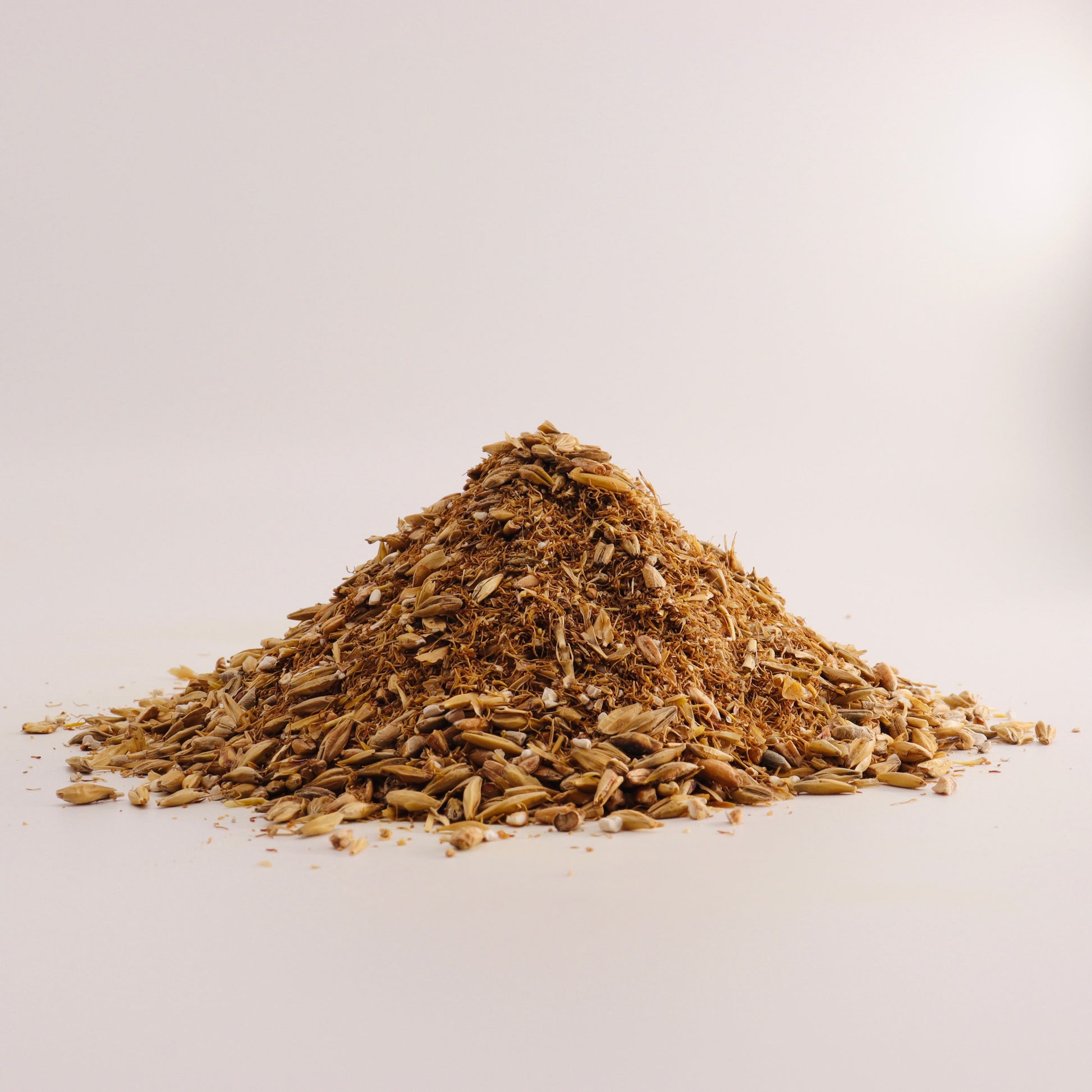 Malted Barley-gekeimte Gerste-Malzkeime-Malzkeimdünger-Enzymdünger-Enzymgerste-Amendment-online-kaufen-Grundstoff-LivingSoil