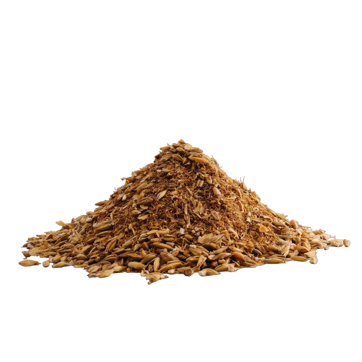 Malted Barley von Grundstoff – gekeimte Gerste (Malzkeime) aus Bayern