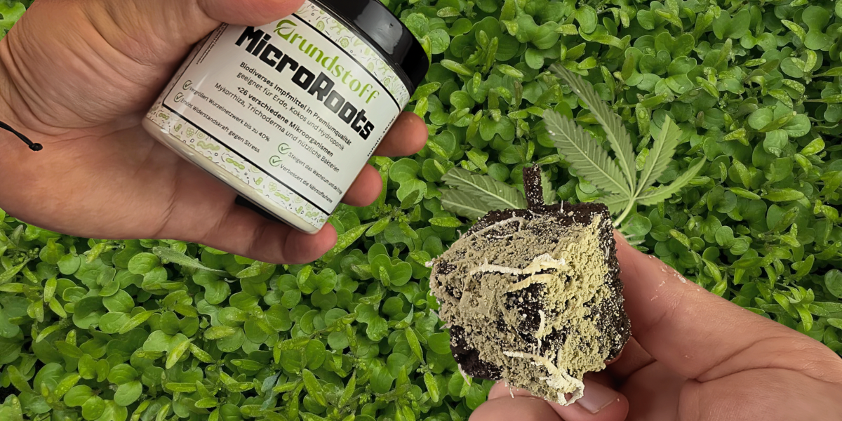 Mykorrhiza_Dünger_Wurzelbooster_MicroRoots_Grundstoff