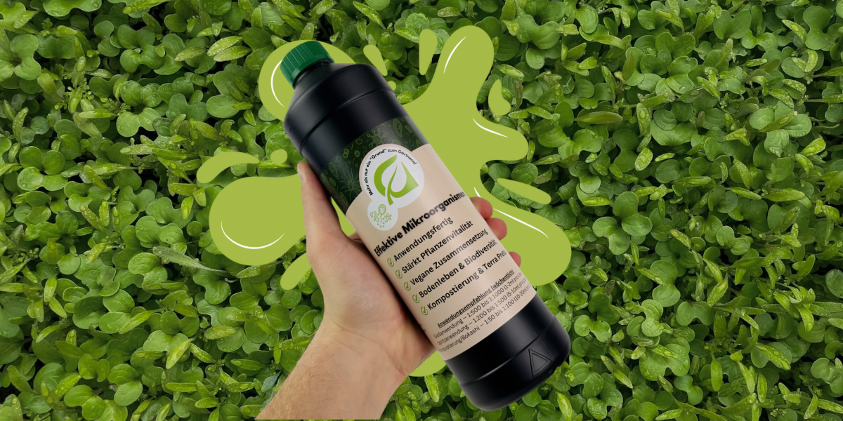 Bodenaktivator_EffektiveMikroorganismen_EM_LAB_Milchsäurebakterien_LivingSoil_Grundstoff