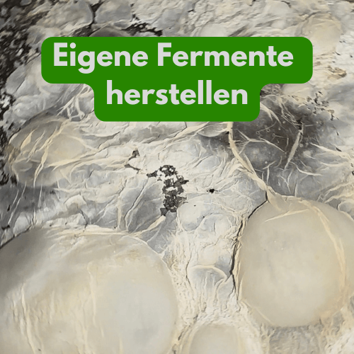 Effektive-Mikroorganismen-LAB-EM-Milchsäurebakterien-LivingSoil-kaufen-Grundstoff