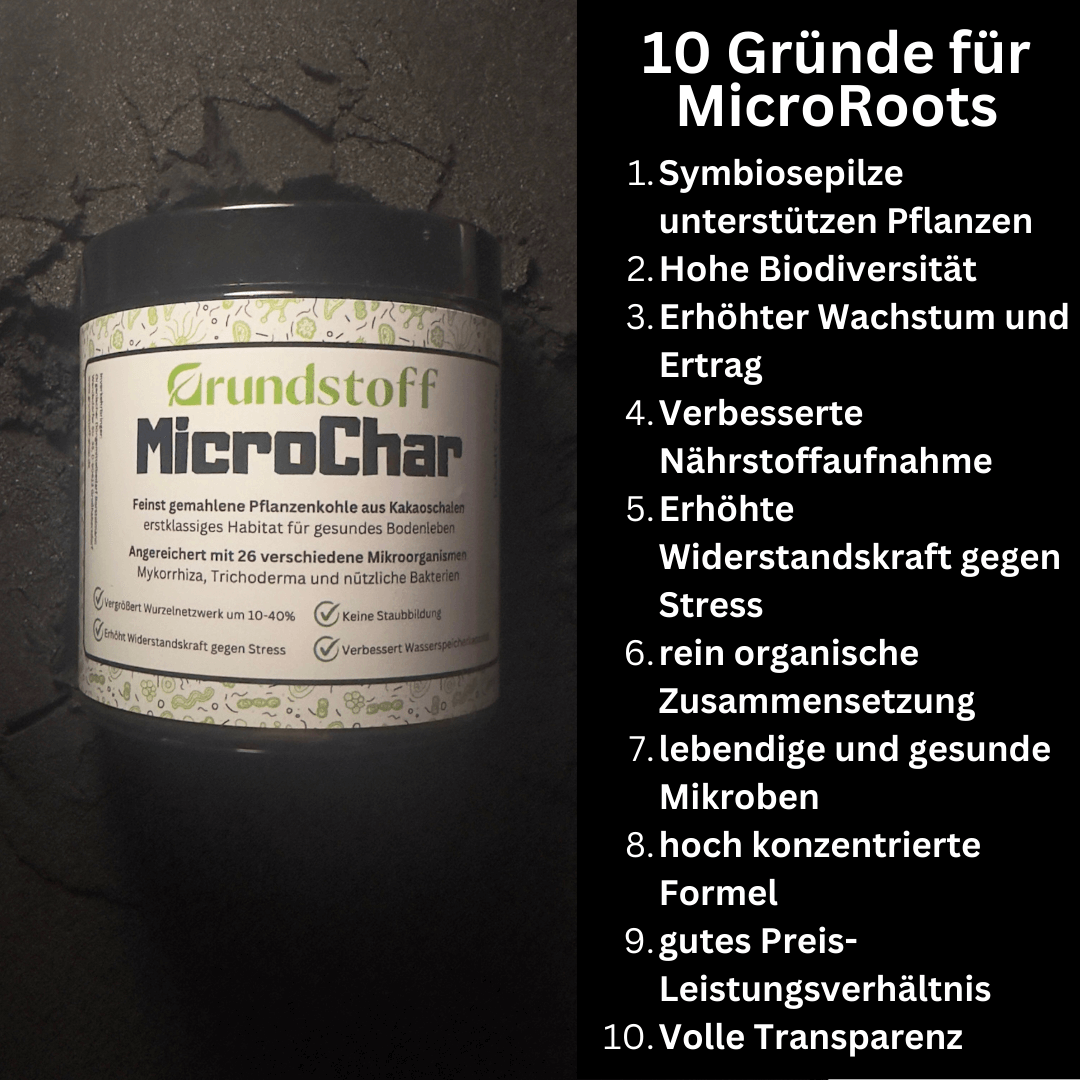 Pflanzenkohle-Mykorrhiza