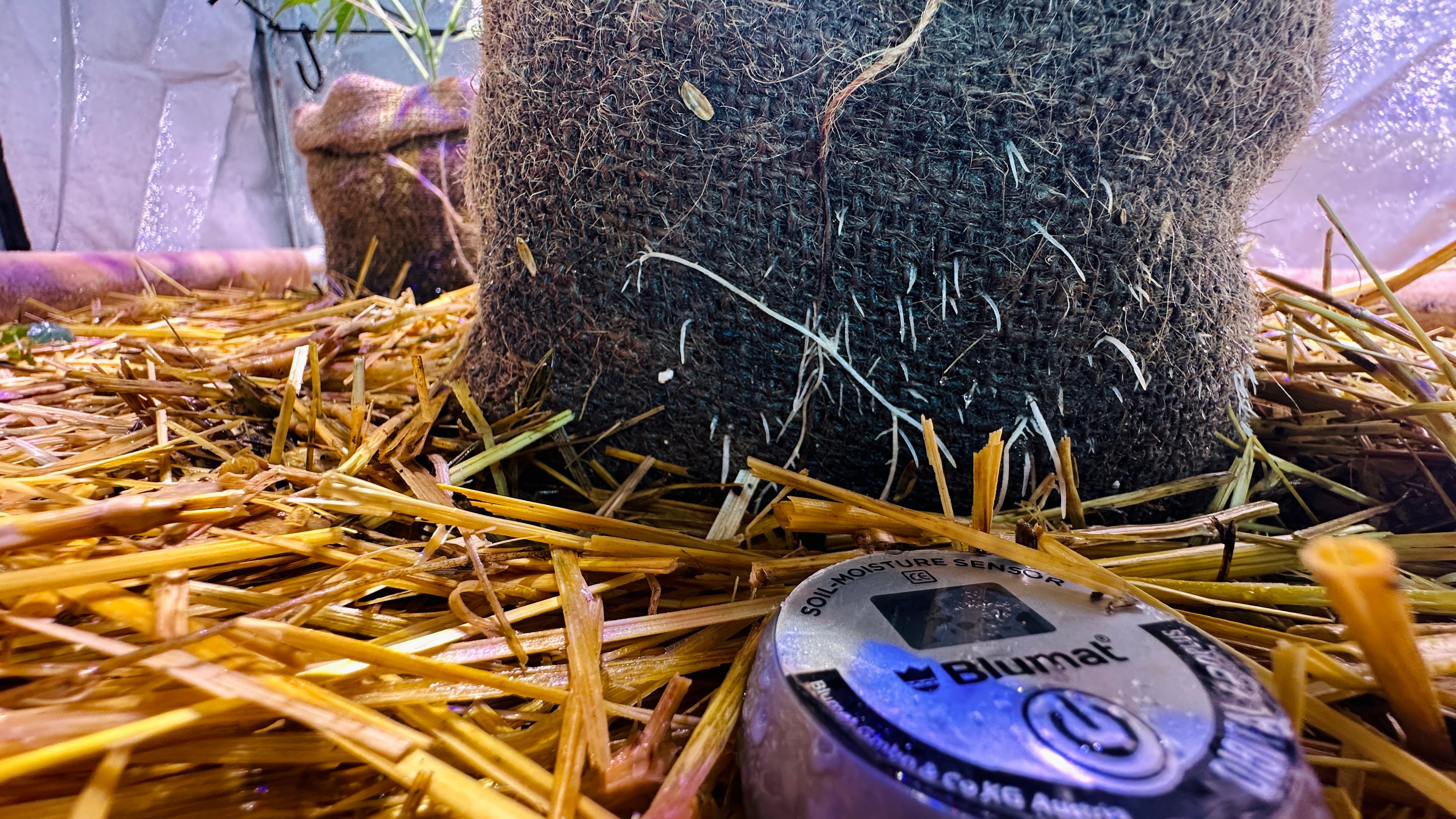 Notill-Indoor-Growing-Bottemless