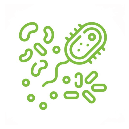 LivingSoil-Amendments-Mikroorganismen-Icon-Grün-Grundstoff