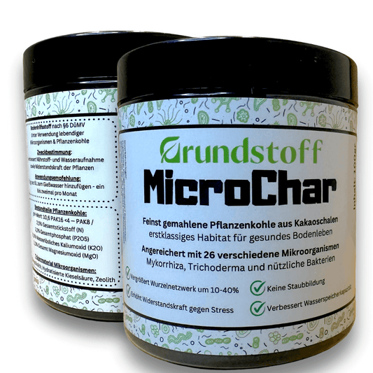 Pflanzenkohle-Mykorrhiza
