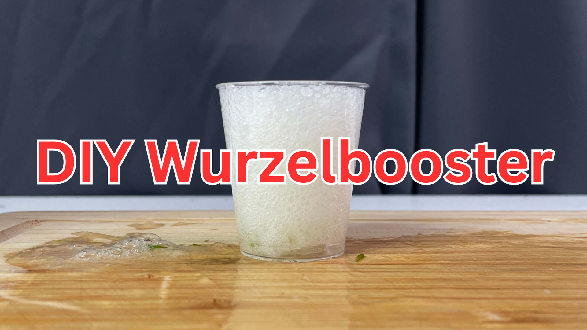 DIY Wurzelbooster aus Aloe Vera - Anleitung  Grundstoff