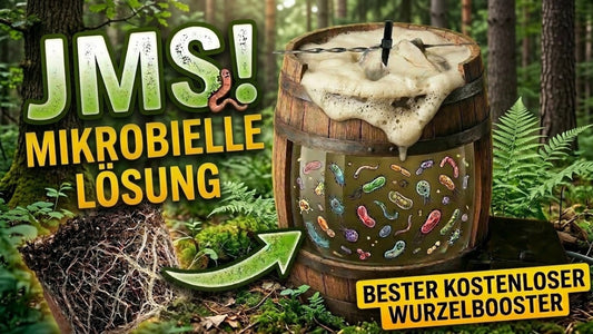 JADAM Microbial Solution (JMS) Anleitung auf deutsch