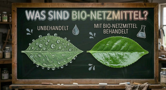 Bio-Benetzungsmittel: Ein ausführlicher Guide