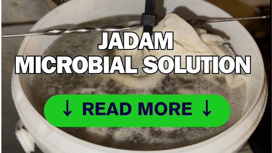JADAM Microbial Solution Anleitung