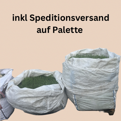 Living Soil Erde