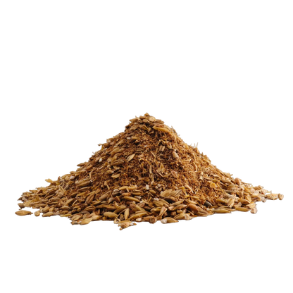 Malted Barley-gekeimte Gerste-Malzkeime-Malzkeimdünger-Enzymdünger-Enzymgerste-Amendment-online-kaufen-Grundstoff-LivingSoil