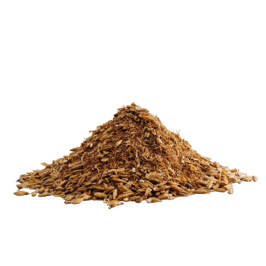 Malted Barley | Malzkeimdünger