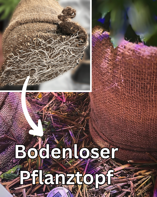 bottemless-töpfe-notill-indoor-growing